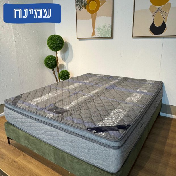 עמינח דגם גרייט