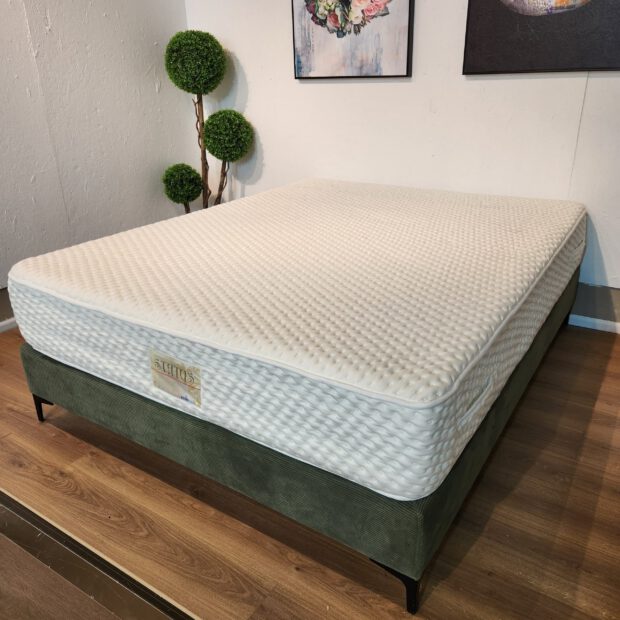 פולירון סטטוס